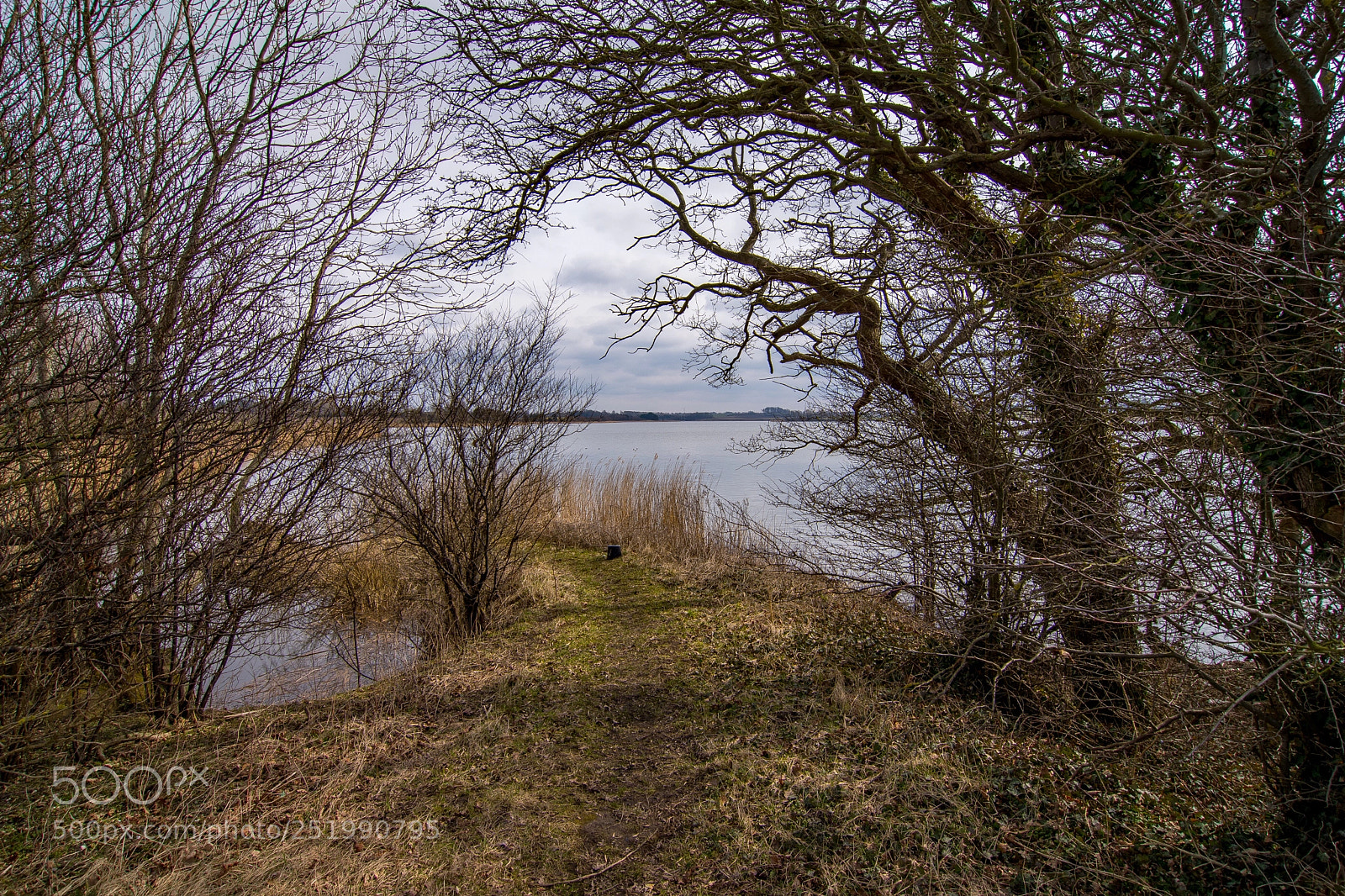 Nikon D500 sample photo. Untitled photography