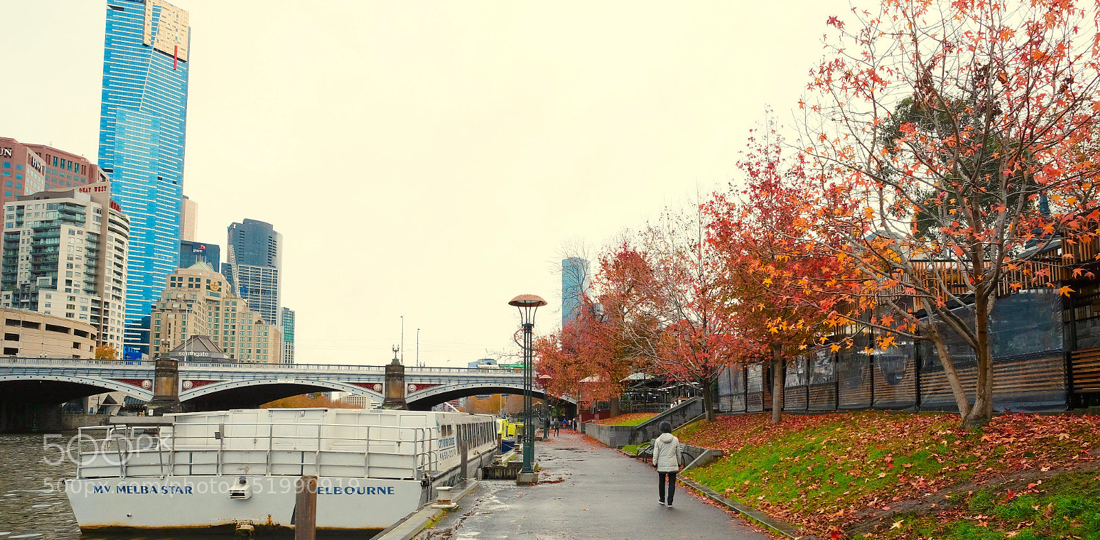 Fujifilm X-E2 sample photo. Autumn leaves photography
