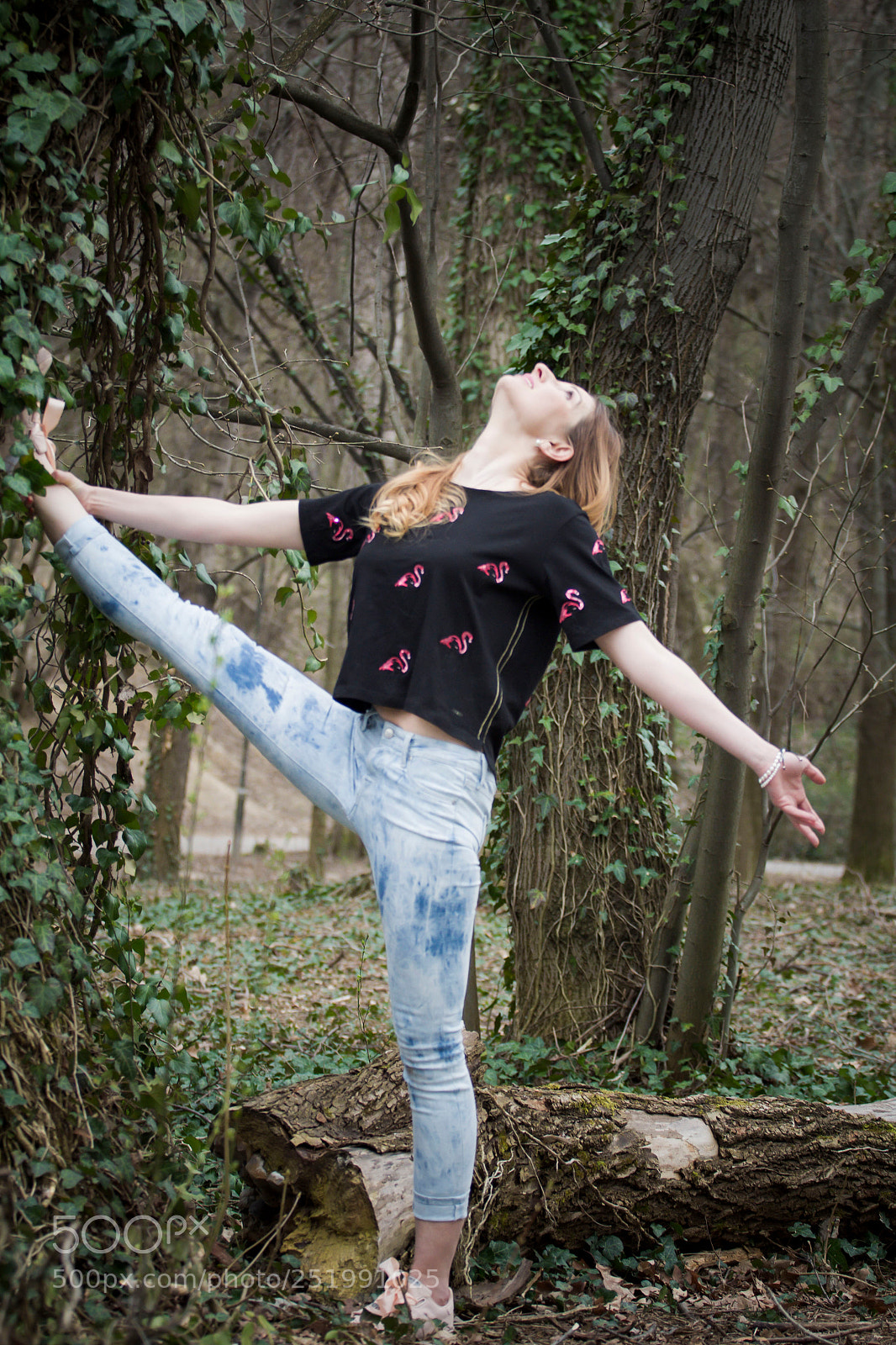 Canon EOS 60D sample photo. Energy through the tree photography