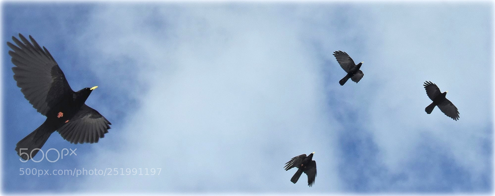 Nikon D810 sample photo. "dolen" photography
