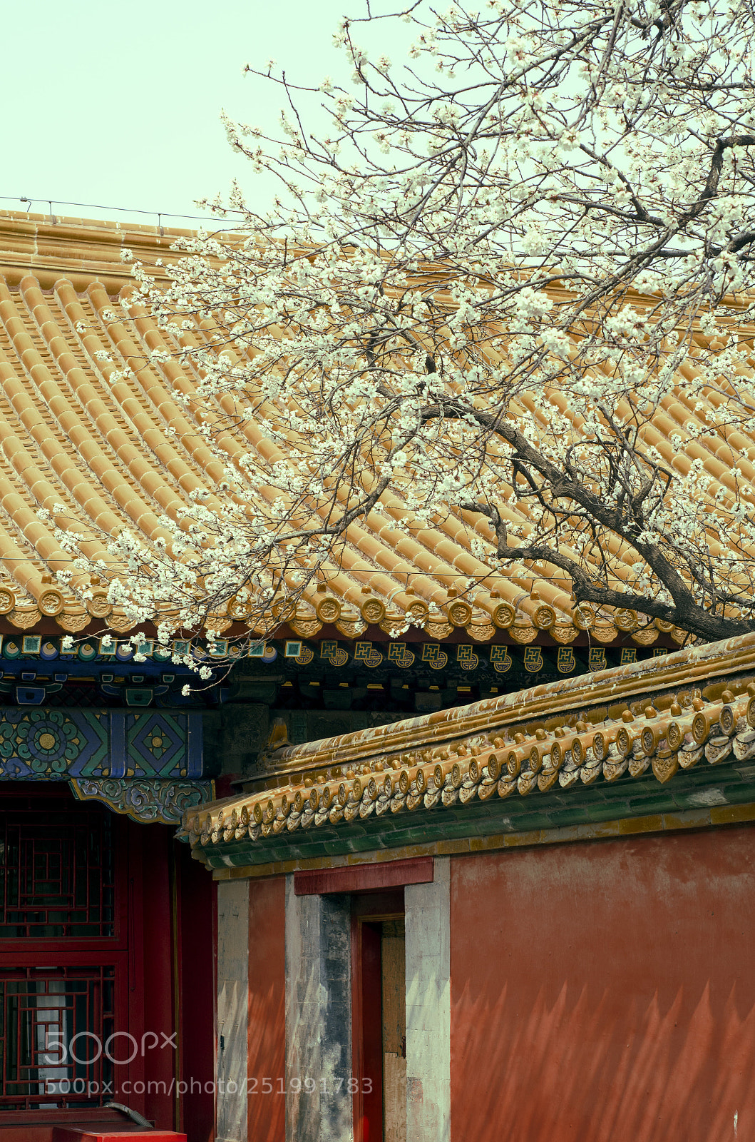 Nikon D7000 sample photo. Flower and palace museum photography