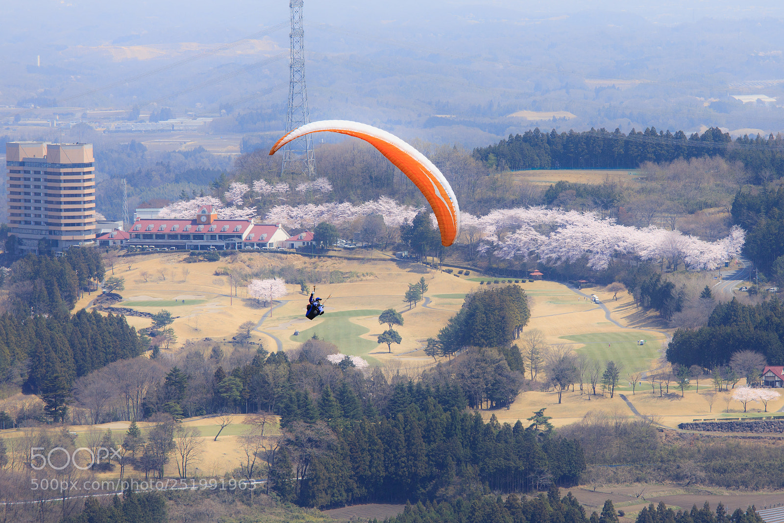 Canon EOS 5D Mark IV sample photo. Cherry-blossom viewing from sky photography