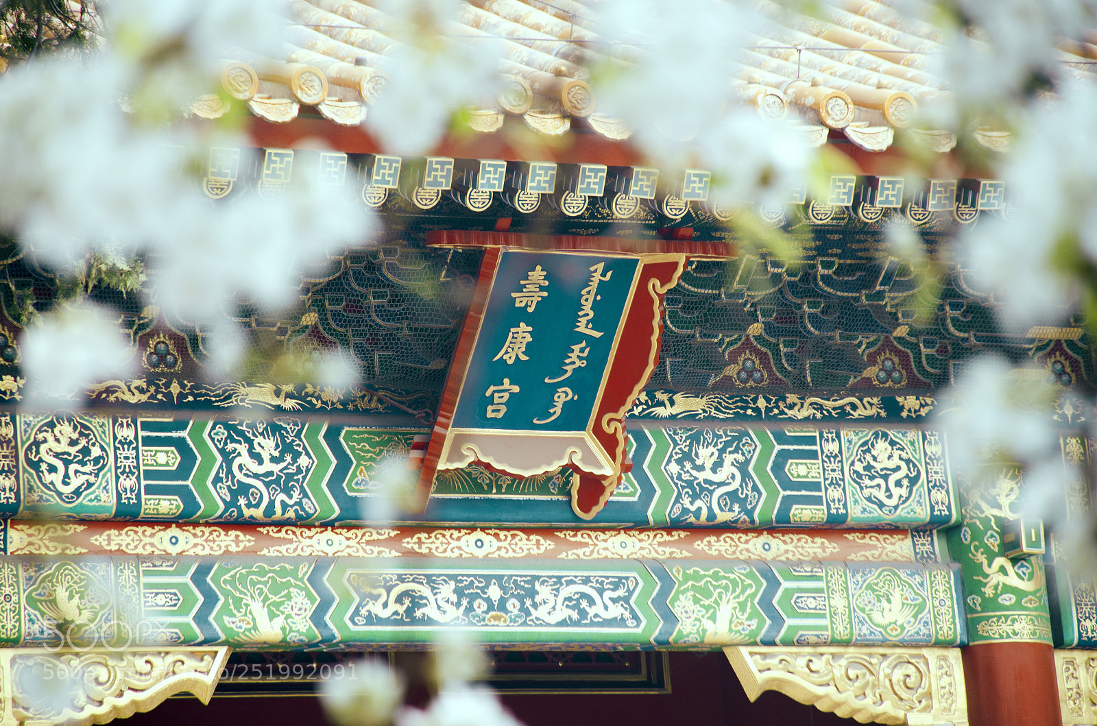 Nikon D7000 sample photo. Spring of palace museum photography