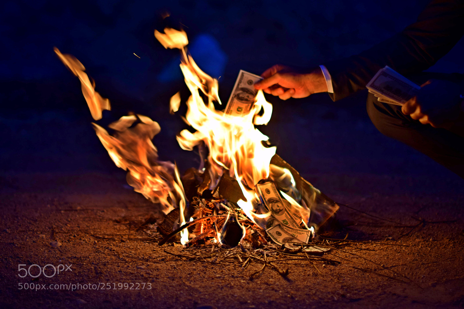 Nikon D3300 sample photo. Dollars blaze in bright photography