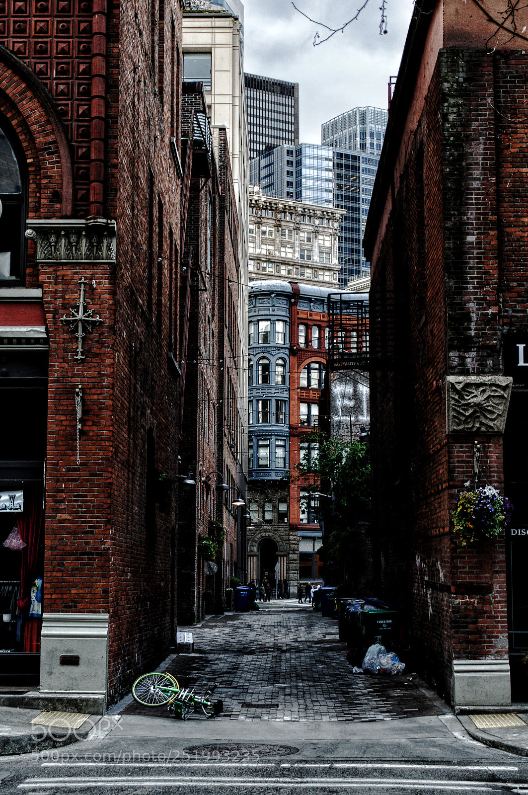 Nikon D5000 sample photo. Down the alley photography