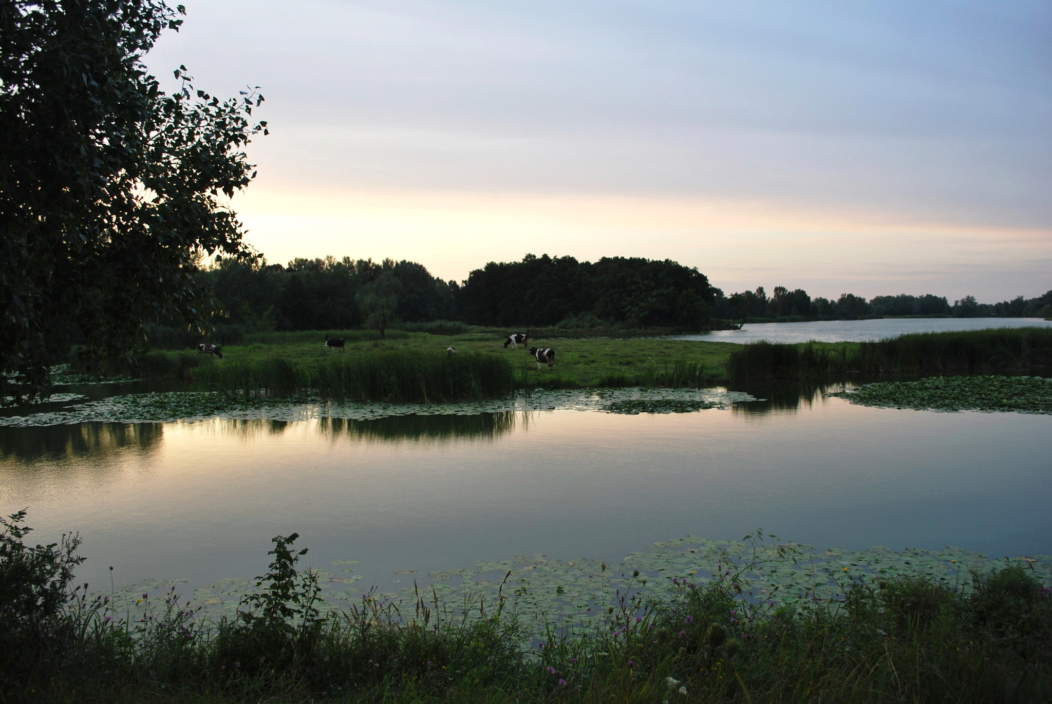 Nikon D60 sample photo. Adorig photography