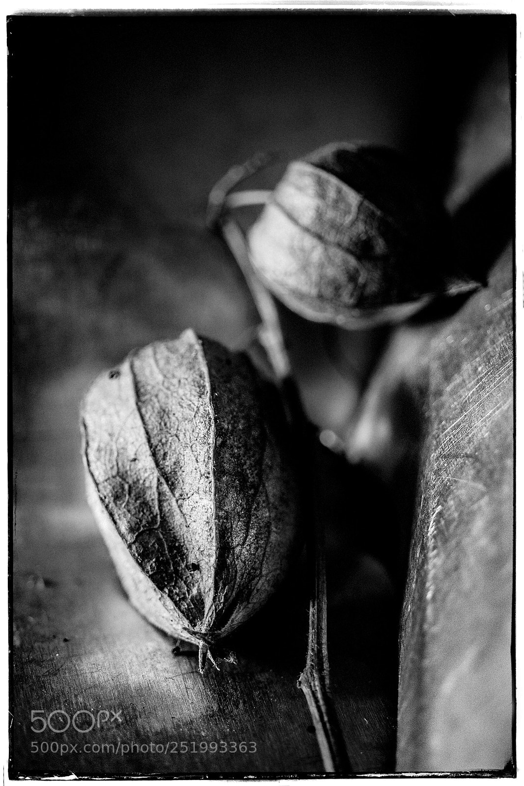 Sony a7 sample photo. Fine chinese lantern photography