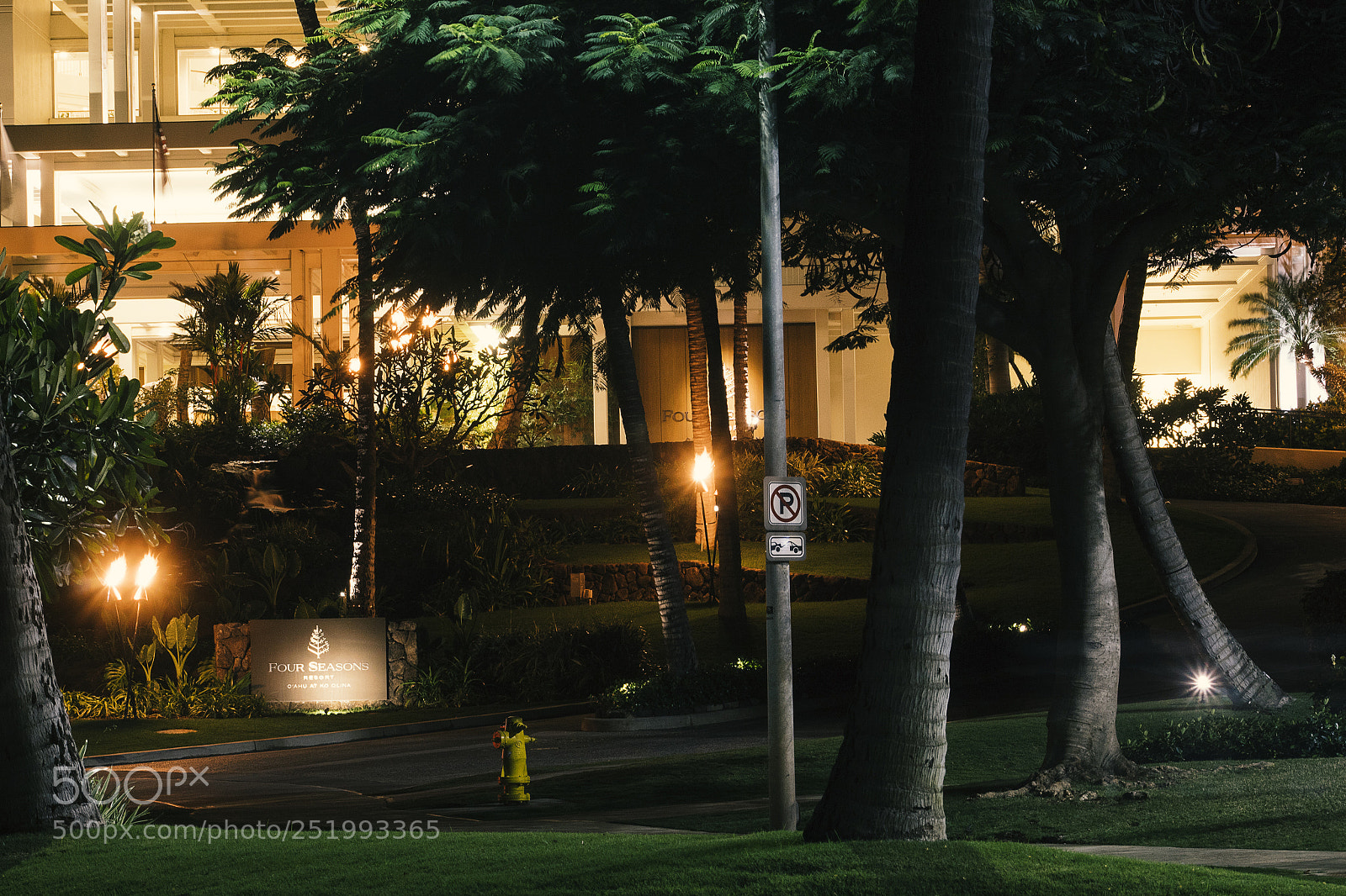 Canon EOS 1300D (EOS Rebel T6 / EOS Kiss X80) sample photo. Night time paradise photography