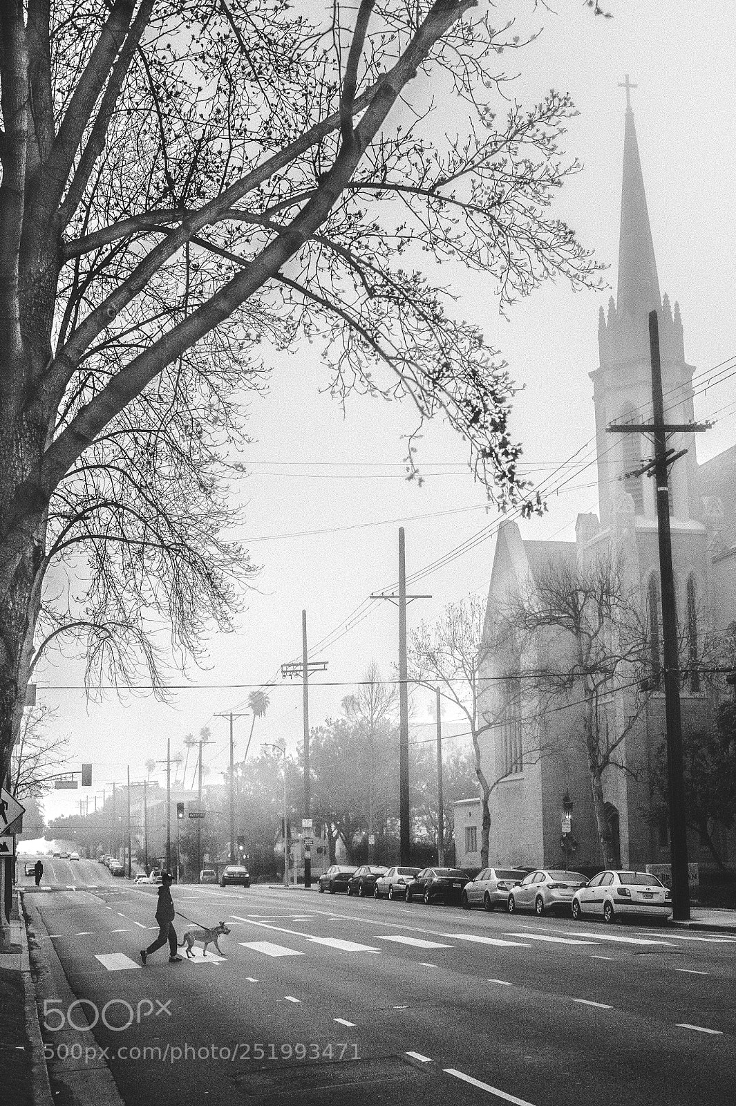 Nikon D700 sample photo. Crossing over photography