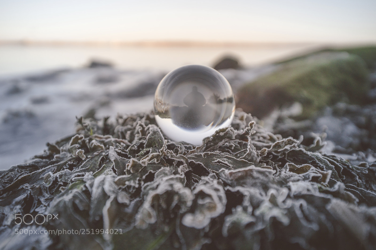 Sony a99 II sample photo. Crystal ball in the photography