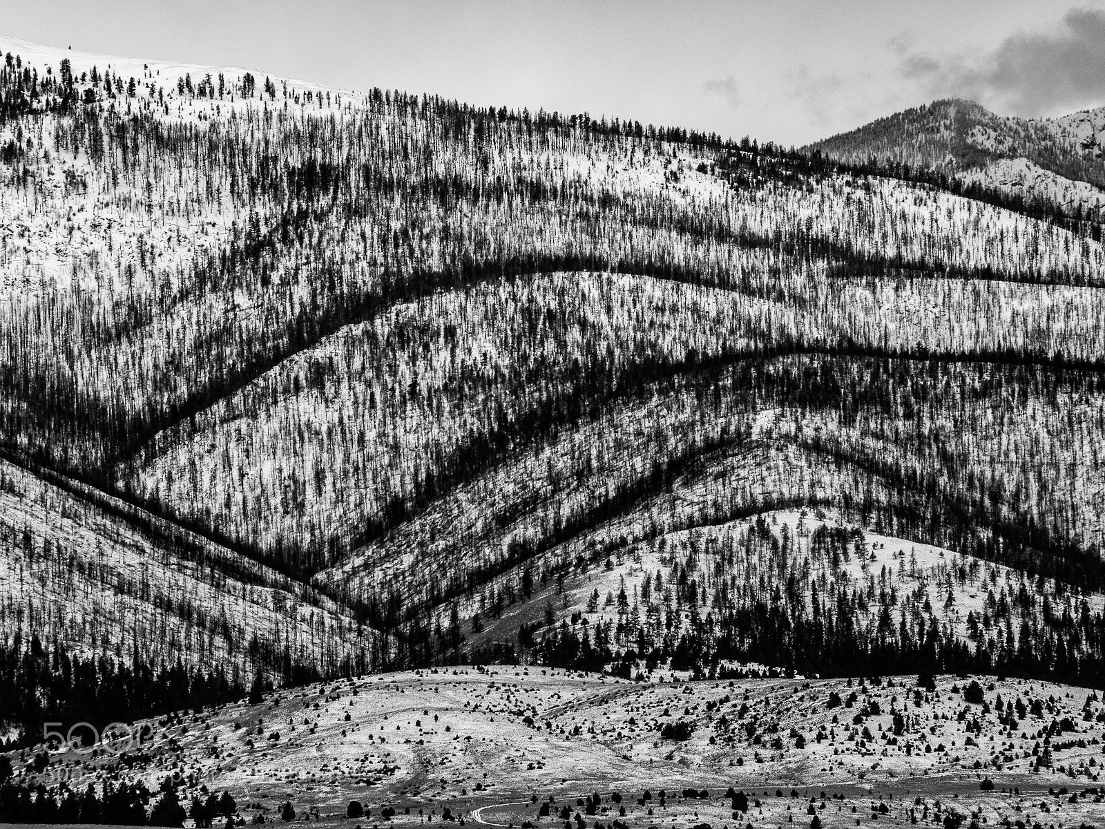 Olympus OM-D E-M1 sample photo. Strawberry mountain range photography