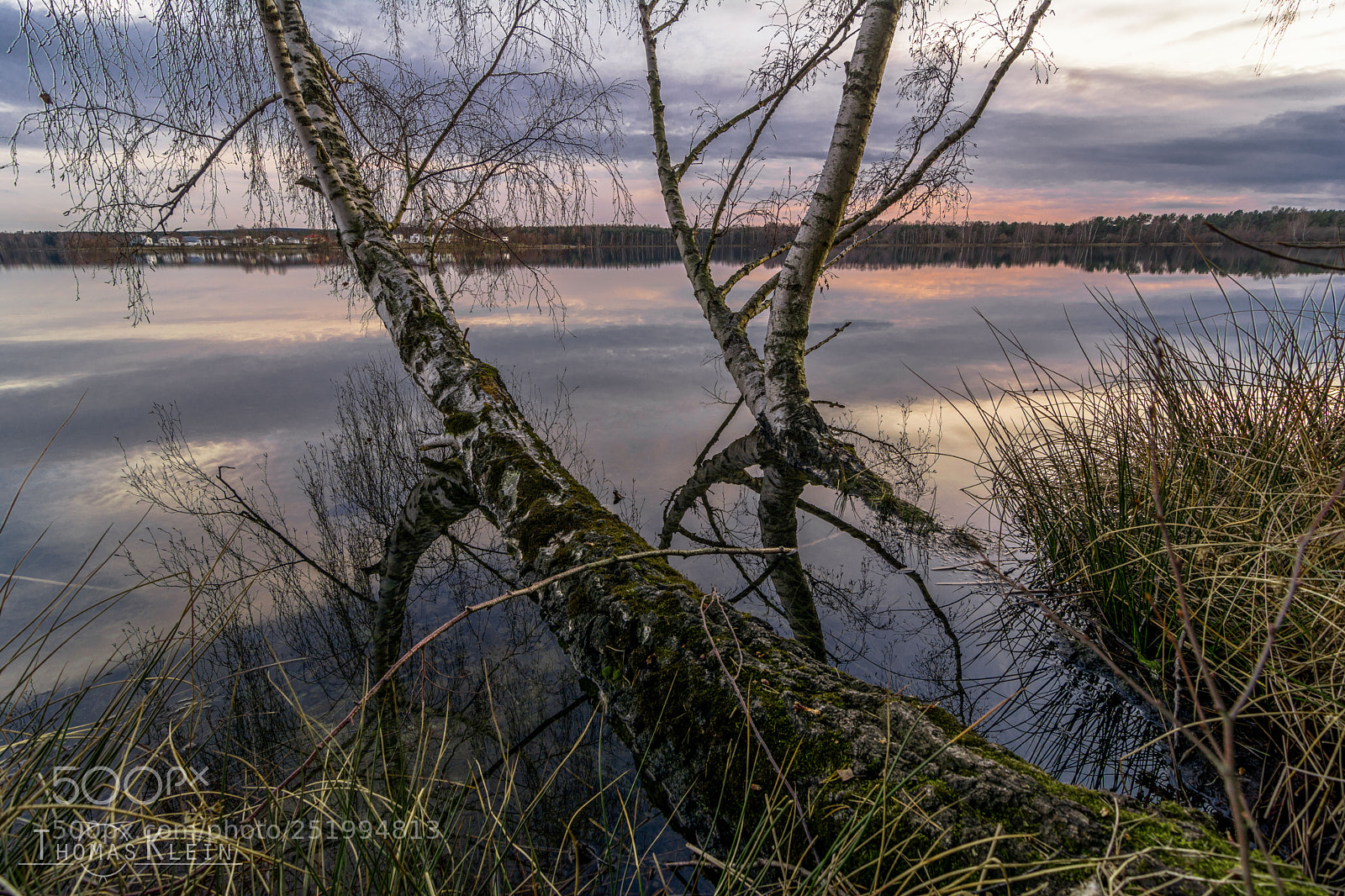 Nikon D5200 sample photo. Reflection photography