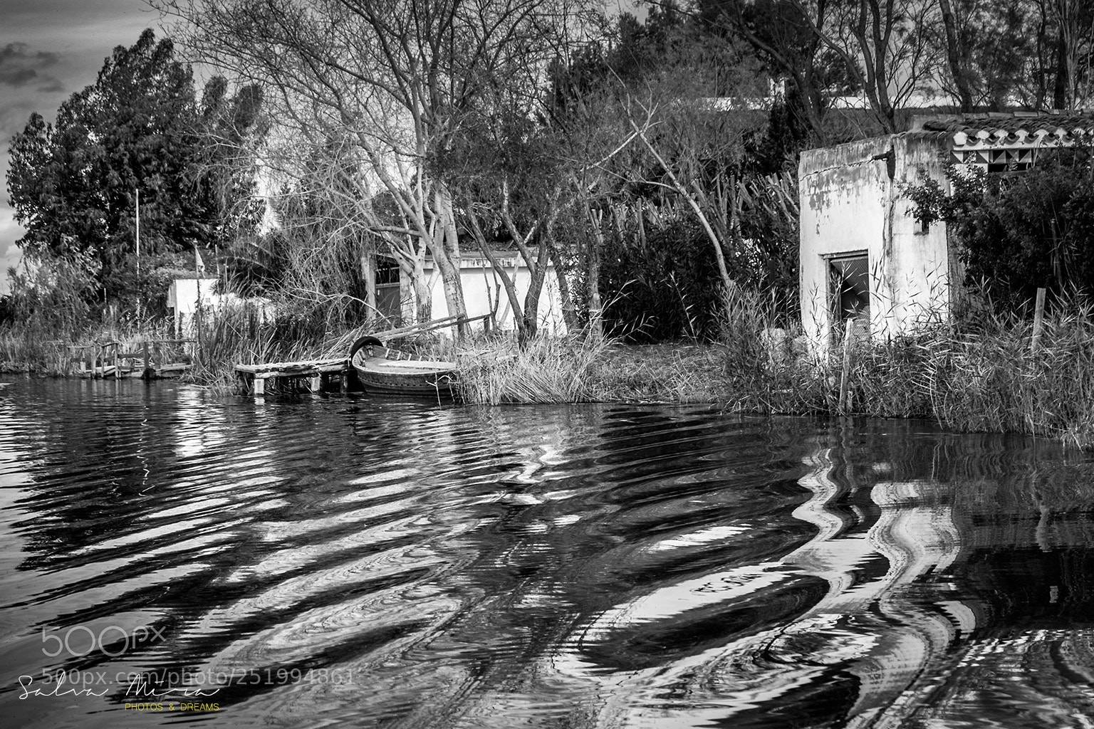 Canon EOS 50D sample photo. Reflexes ondulats a l'albufera photography