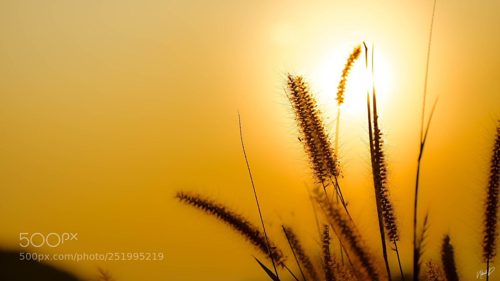 Nikon D5300 sample photo. The sunset photography