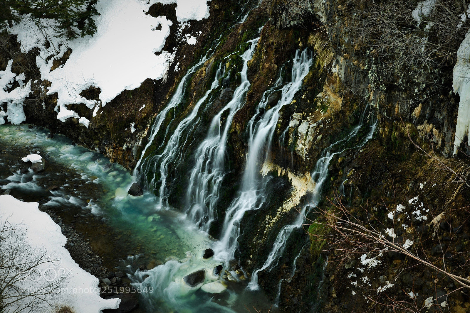 Nikon D800E sample photo. Untitled photography