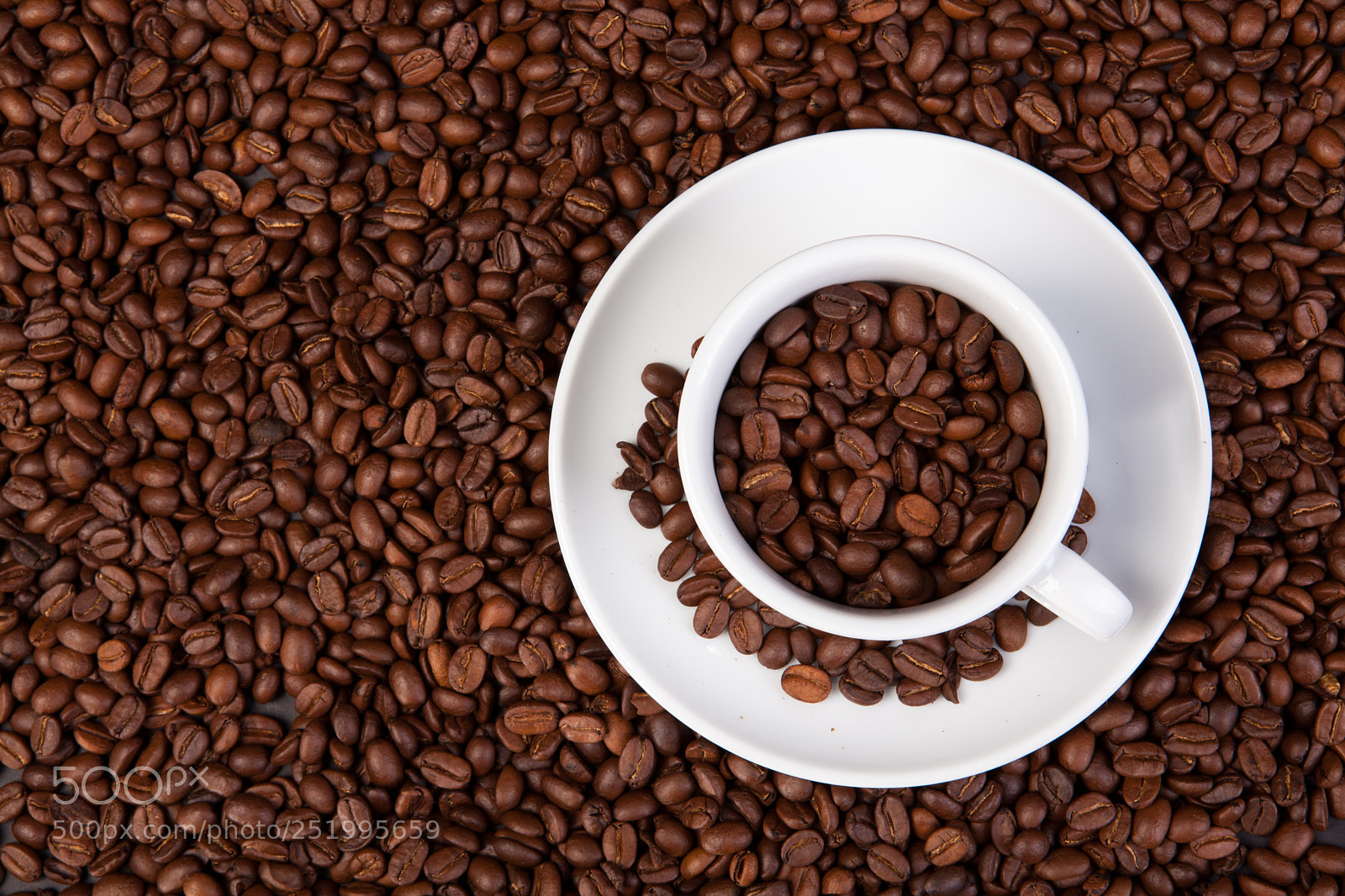 Canon EOS 5D Mark II sample photo. White cup of coffee photography