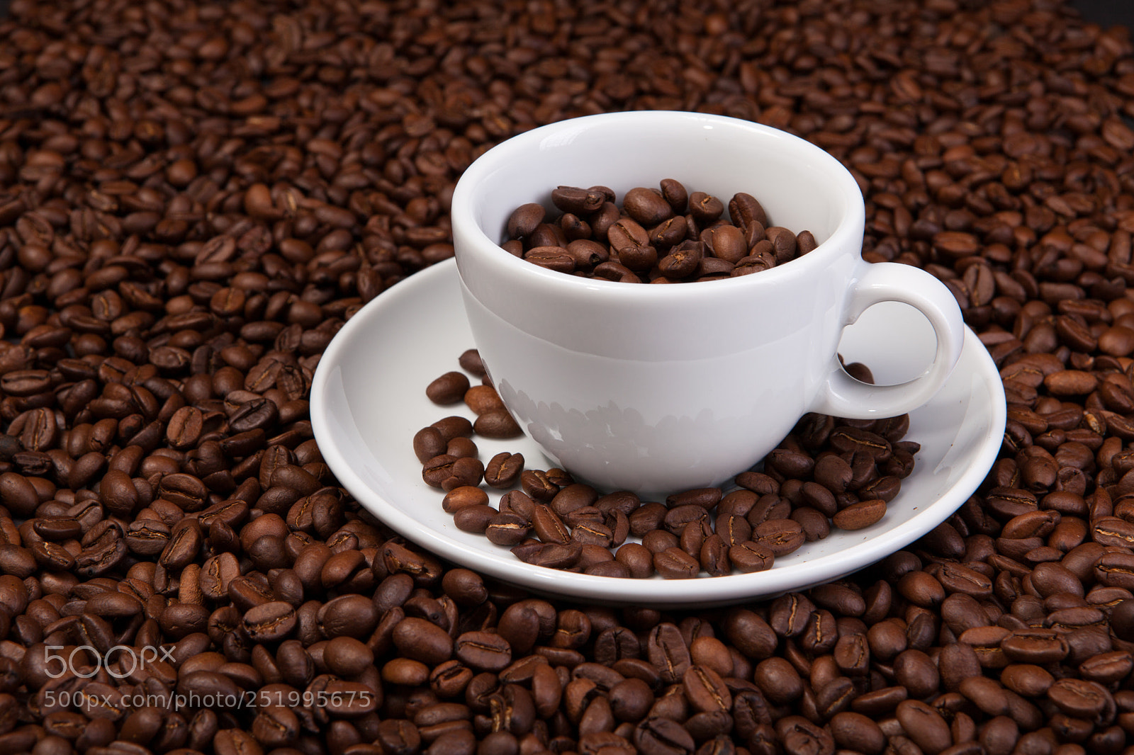 Canon EOS 5D Mark II sample photo. White cup of coffee photography