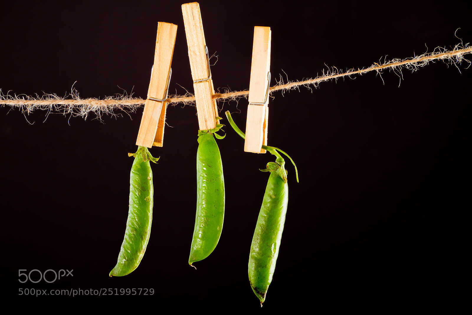 Canon EOS 7D sample photo. Green pea and rope photography
