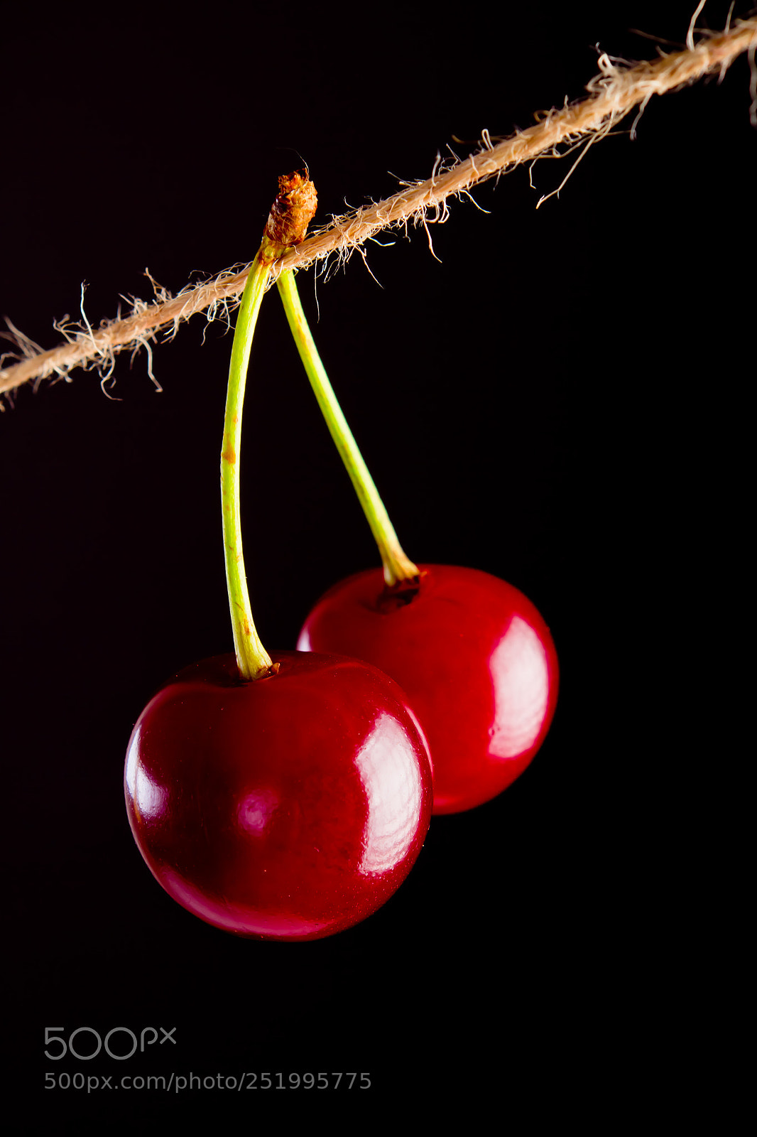 Canon EOS 7D sample photo. Cherry and rope on photography