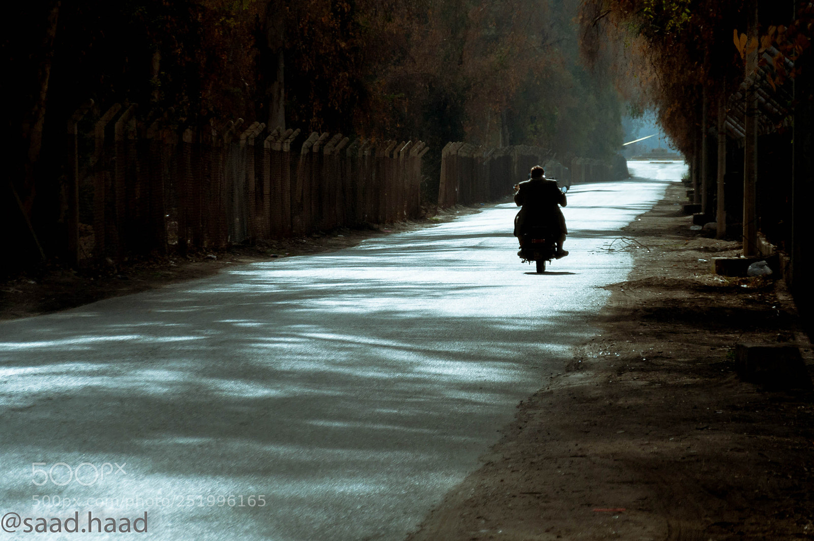 Nikon D90 sample photo. Road .... photography