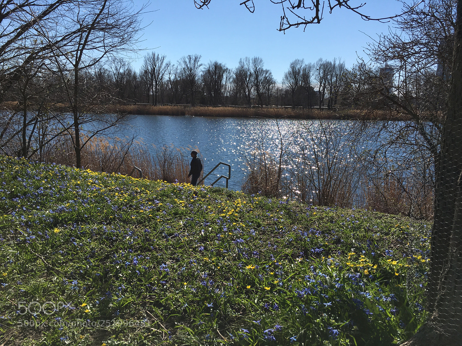 Apple iPhone 6s sample photo. Spring at the danube  photography