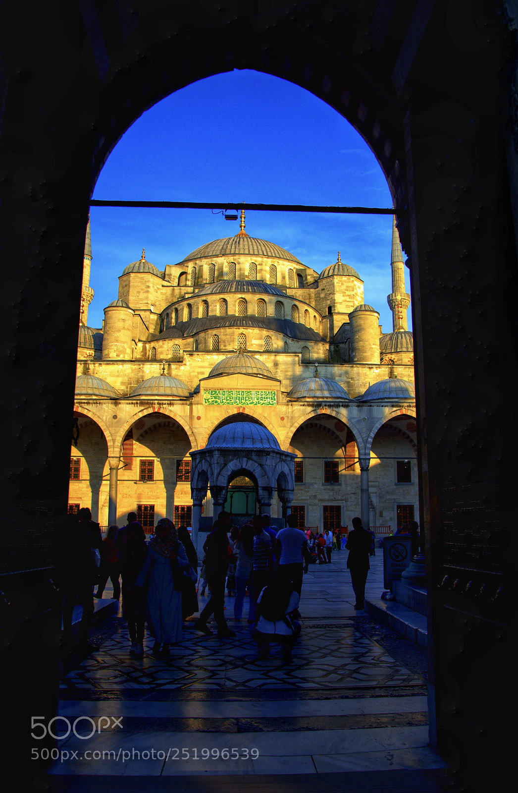 Nikon D7100 sample photo. Untitled photography