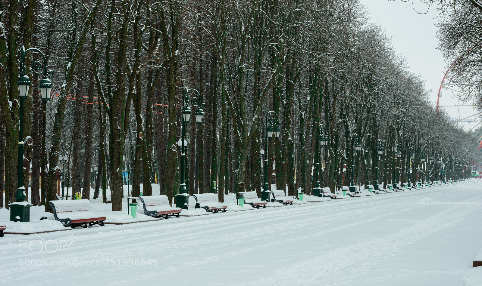 Nikon D3200 sample photo. Winter park photography
