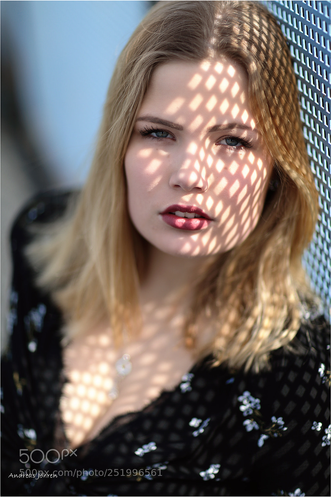 Canon EOS 5D Mark IV sample photo. Painted with lights... photography