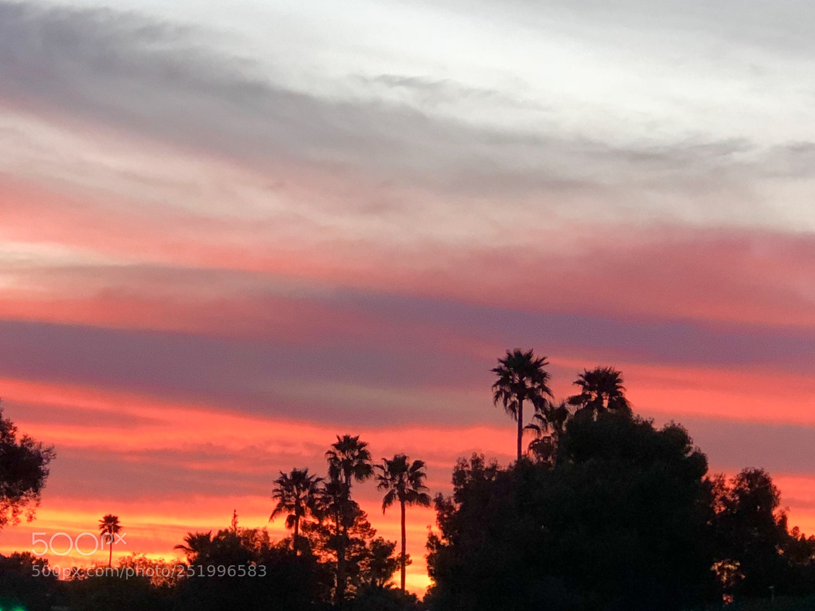 Apple iPhone 8 Plus sample photo. Beautiful evening sky photography