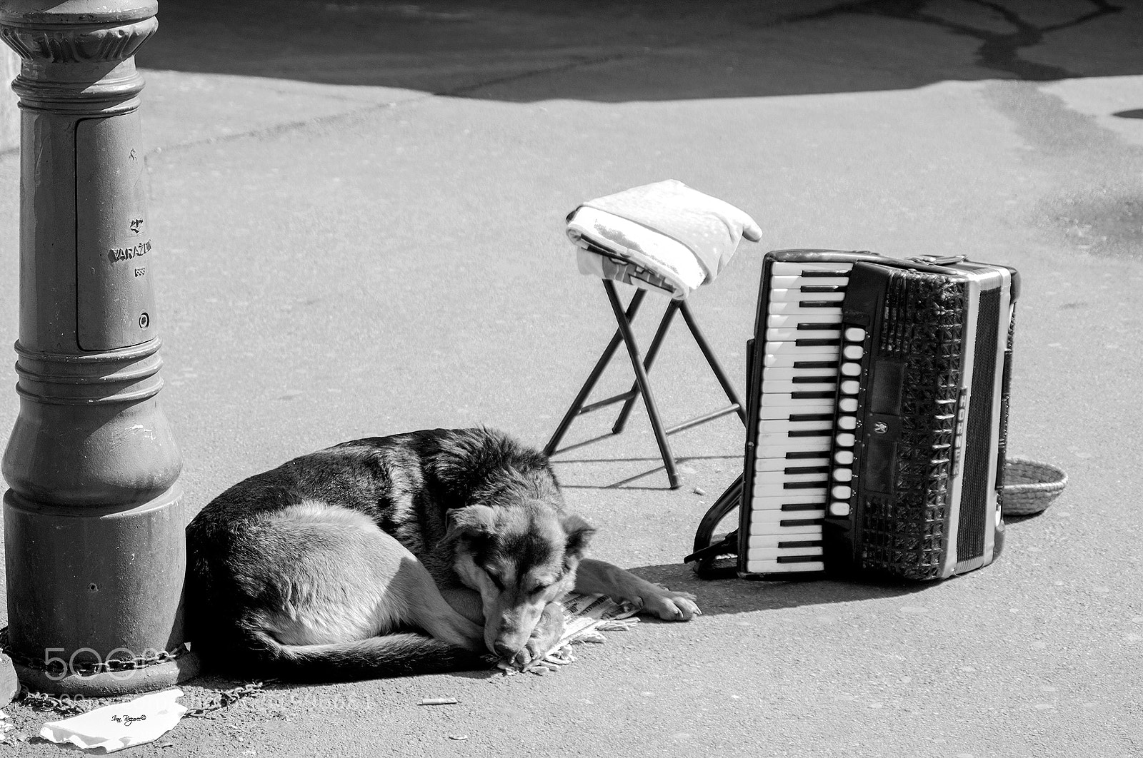 Nikon D2X sample photo. Sleeping photography
