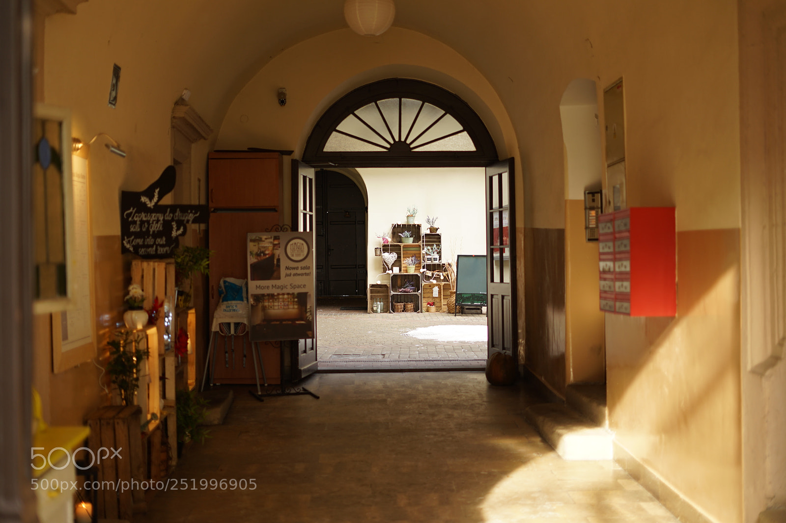 Sony a7 II sample photo. Dsc photography