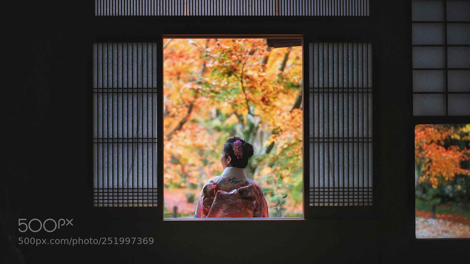 Canon EOS 5D Mark II sample photo. Untitled photography