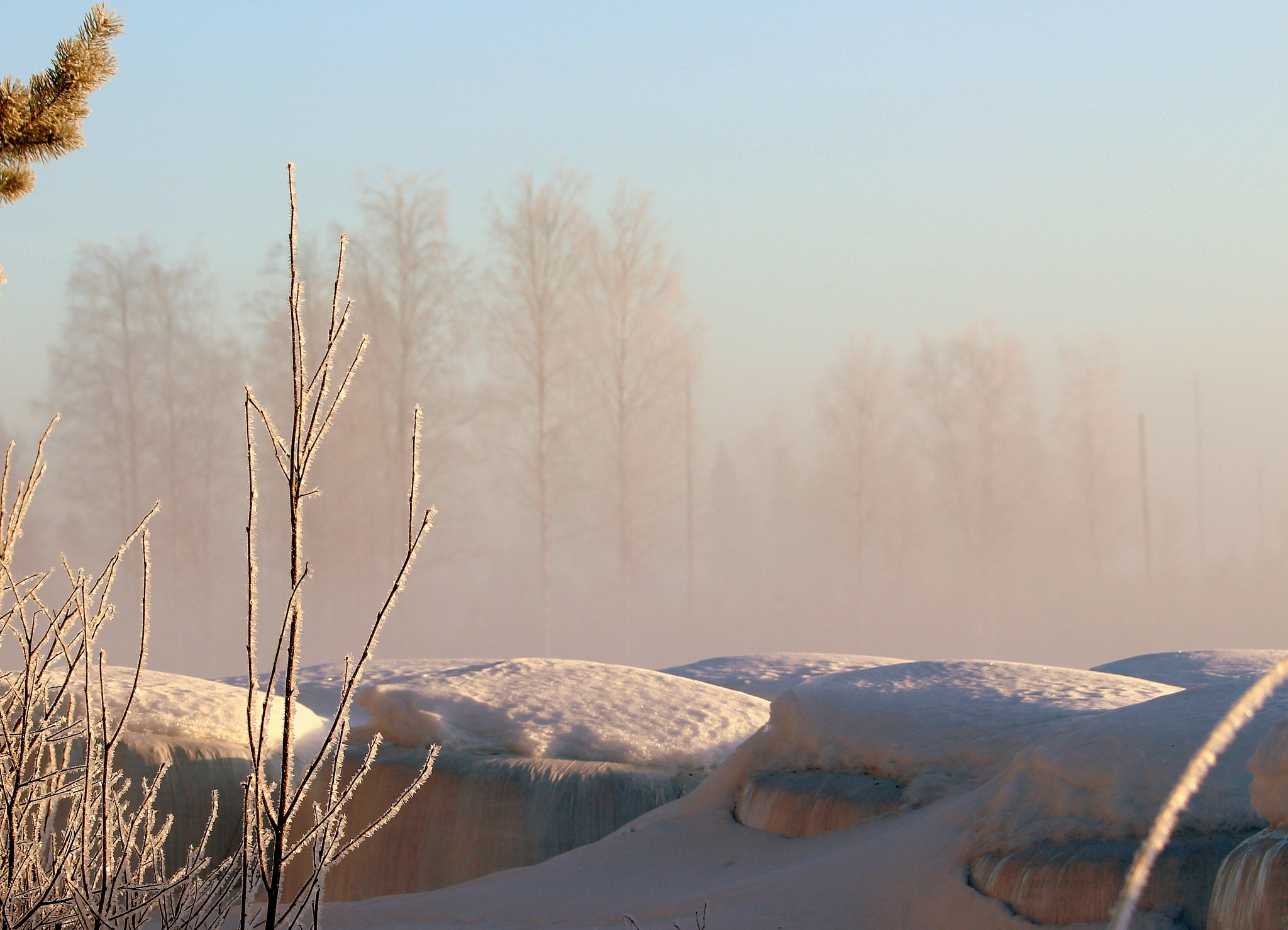 Canon EOS 700D (EOS Rebel T5i / EOS Kiss X7i) sample photo. Morning mist... photography