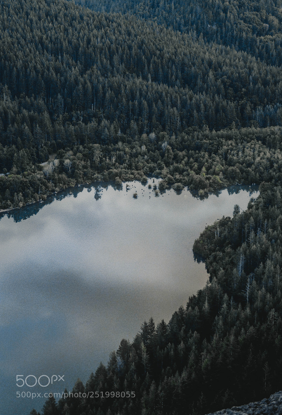 Panasonic Lumix DMC-LX100 sample photo. Rattlesnake ledge, wa photography