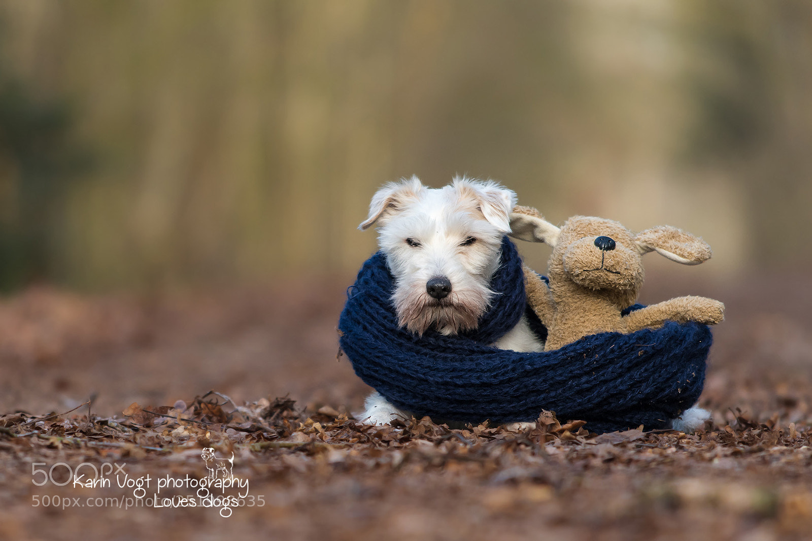Nikon D500 sample photo. Sofie & friend photography
