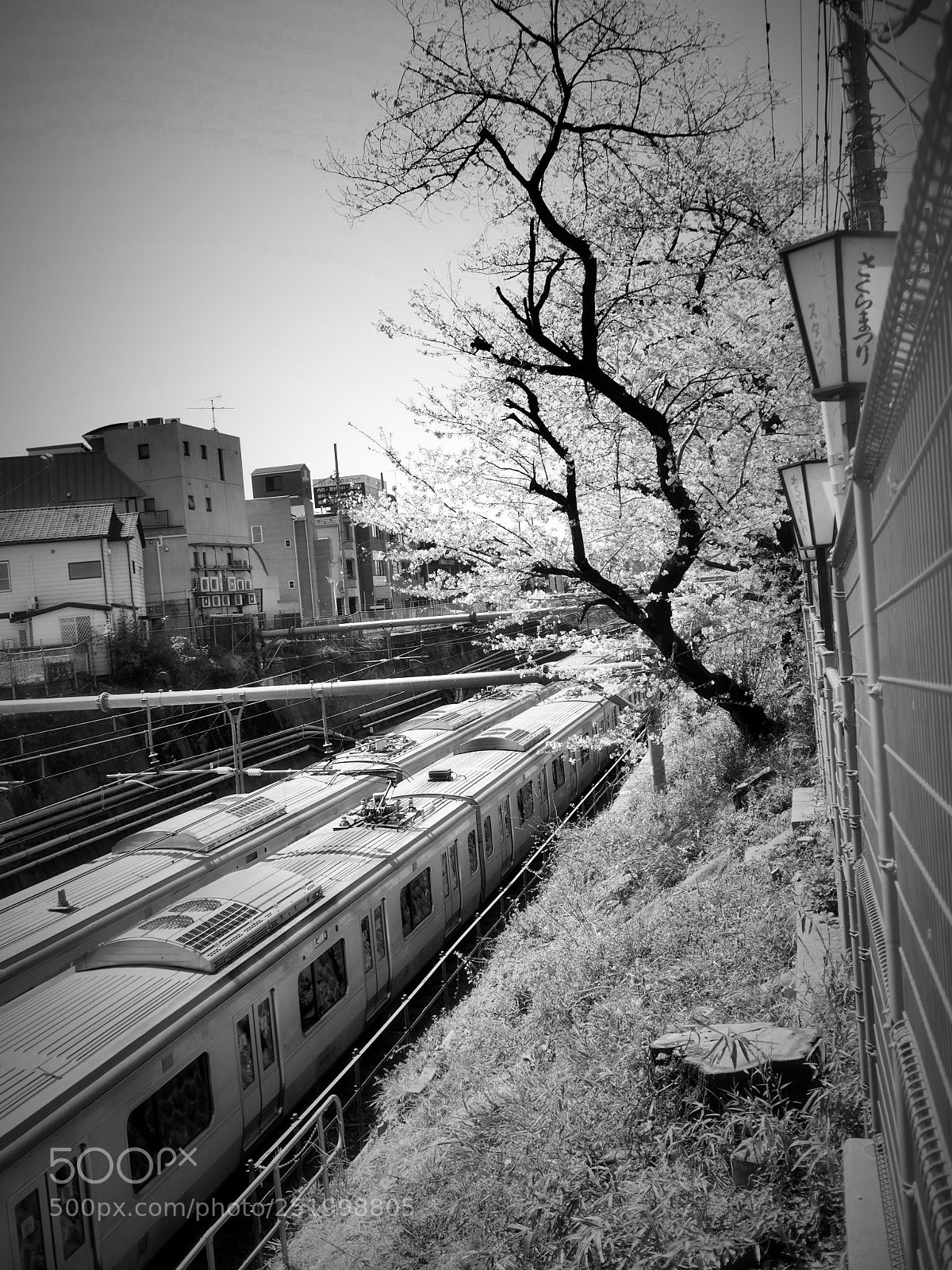 Olympus OM-D E-M5 II sample photo. Tokyo japan photography