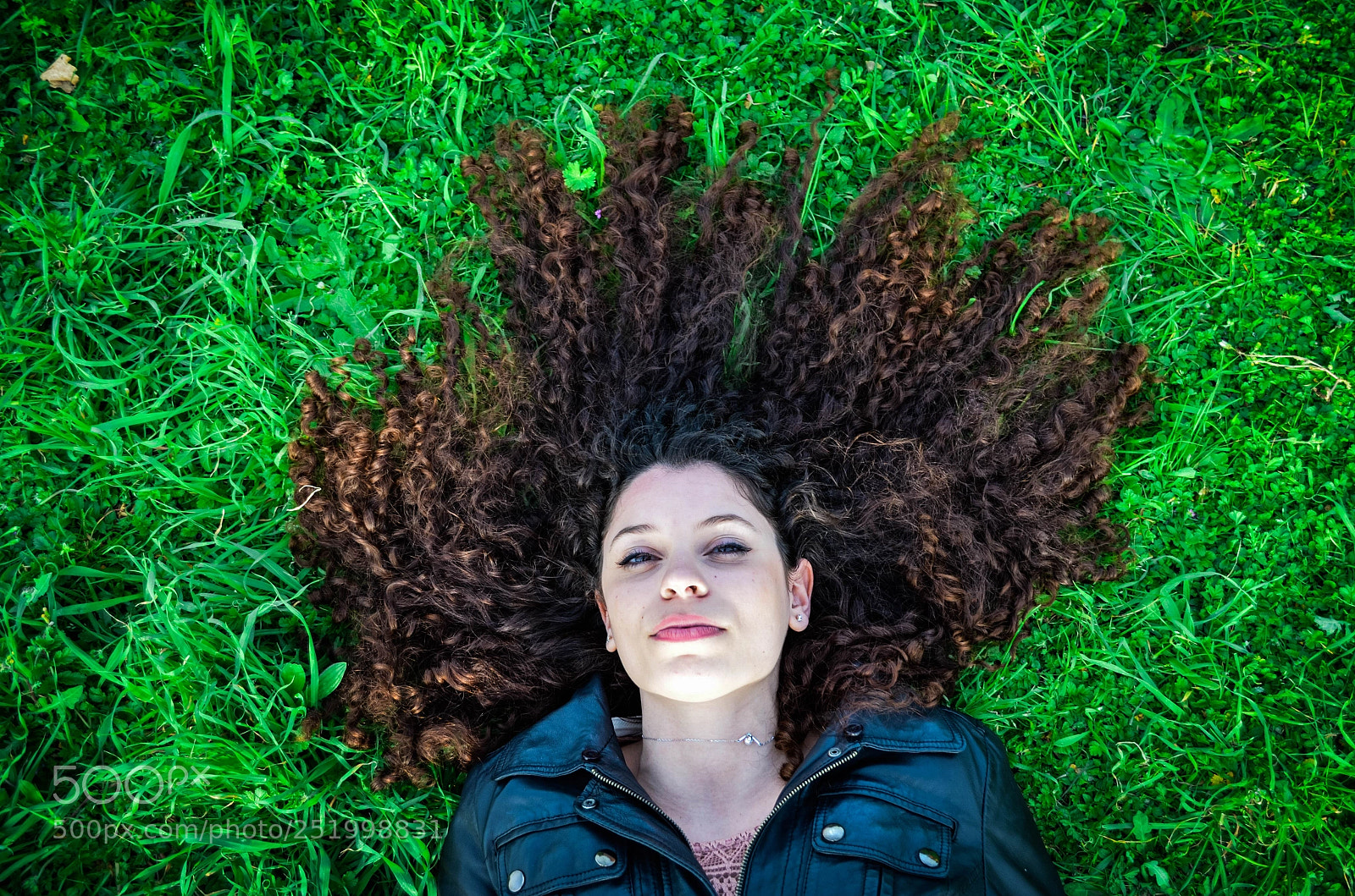 Nikon D5100 sample photo. The mane in the photography