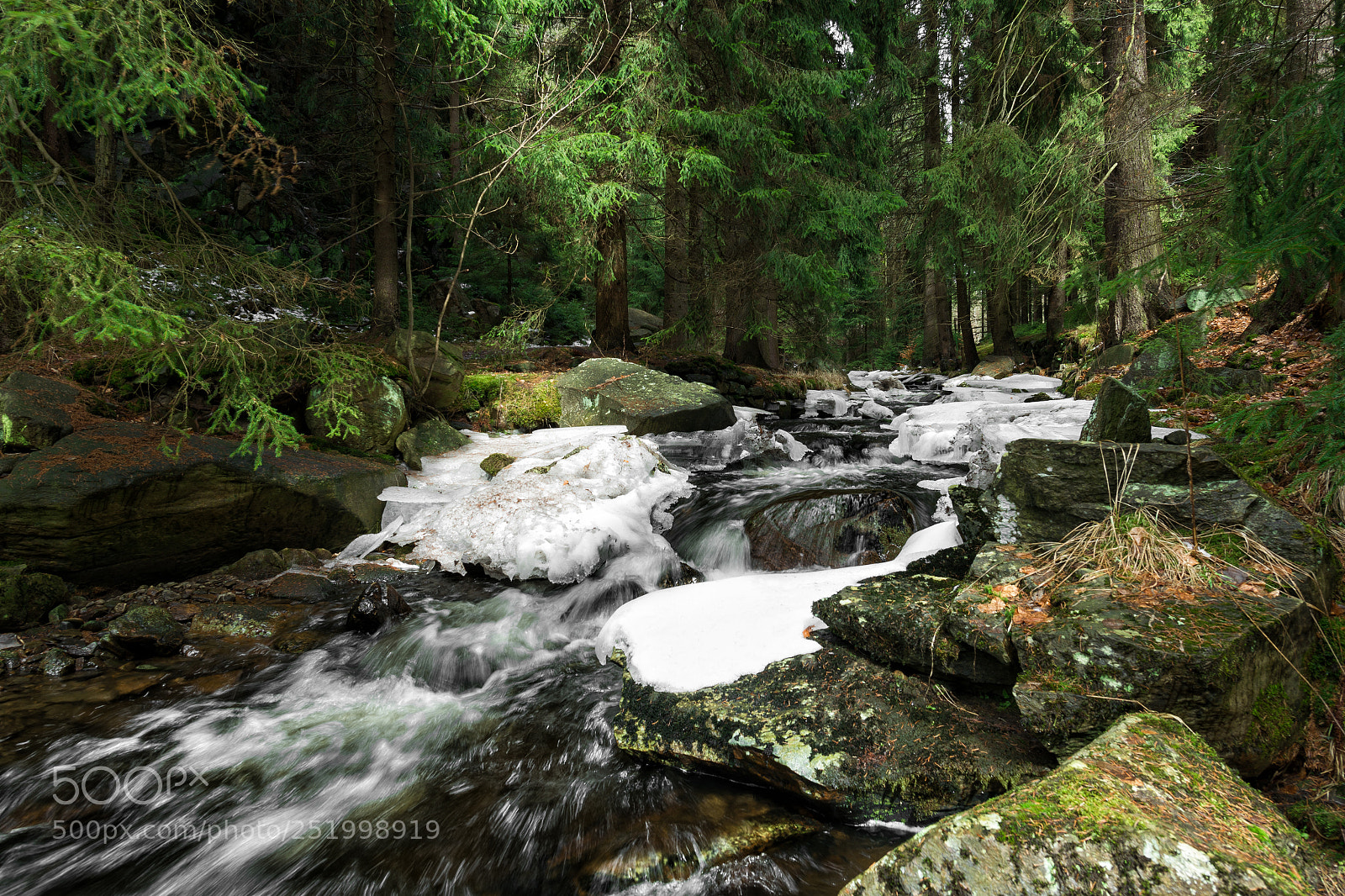 Nikon D610 sample photo. Stream photography