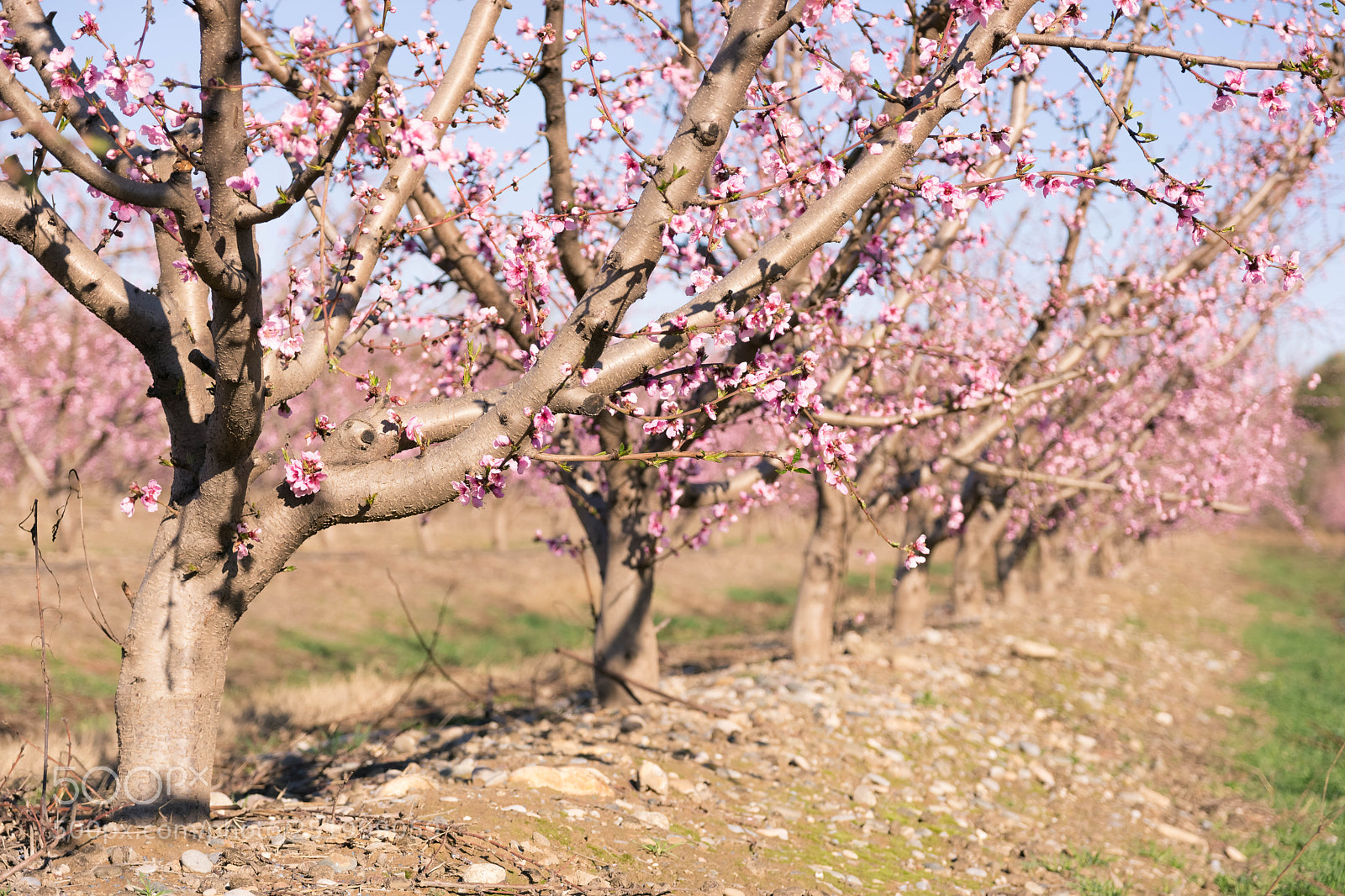 Nikon D7200 sample photo. 0015.jpg photography