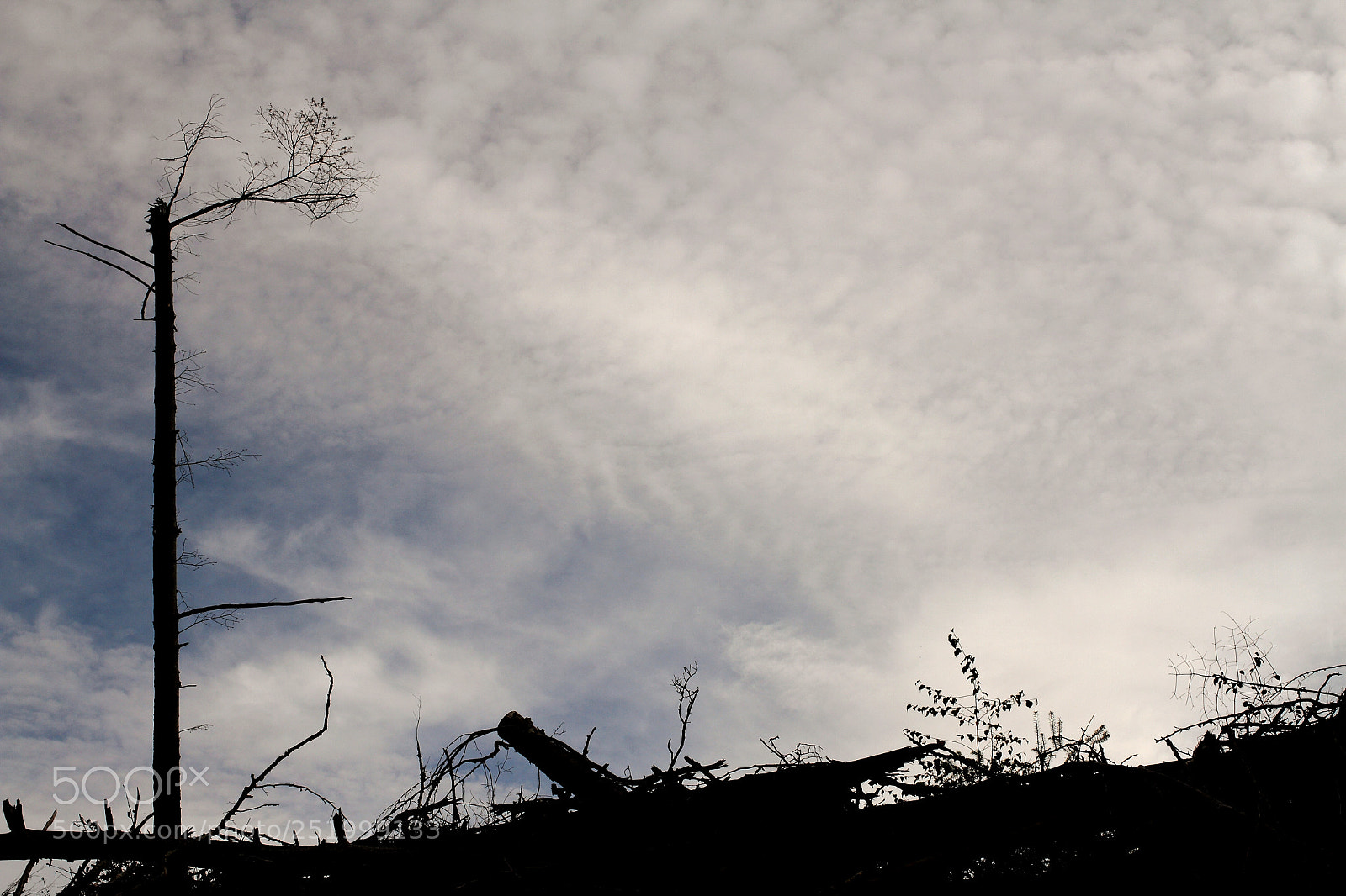Canon EOS 7D sample photo. Ravage photography