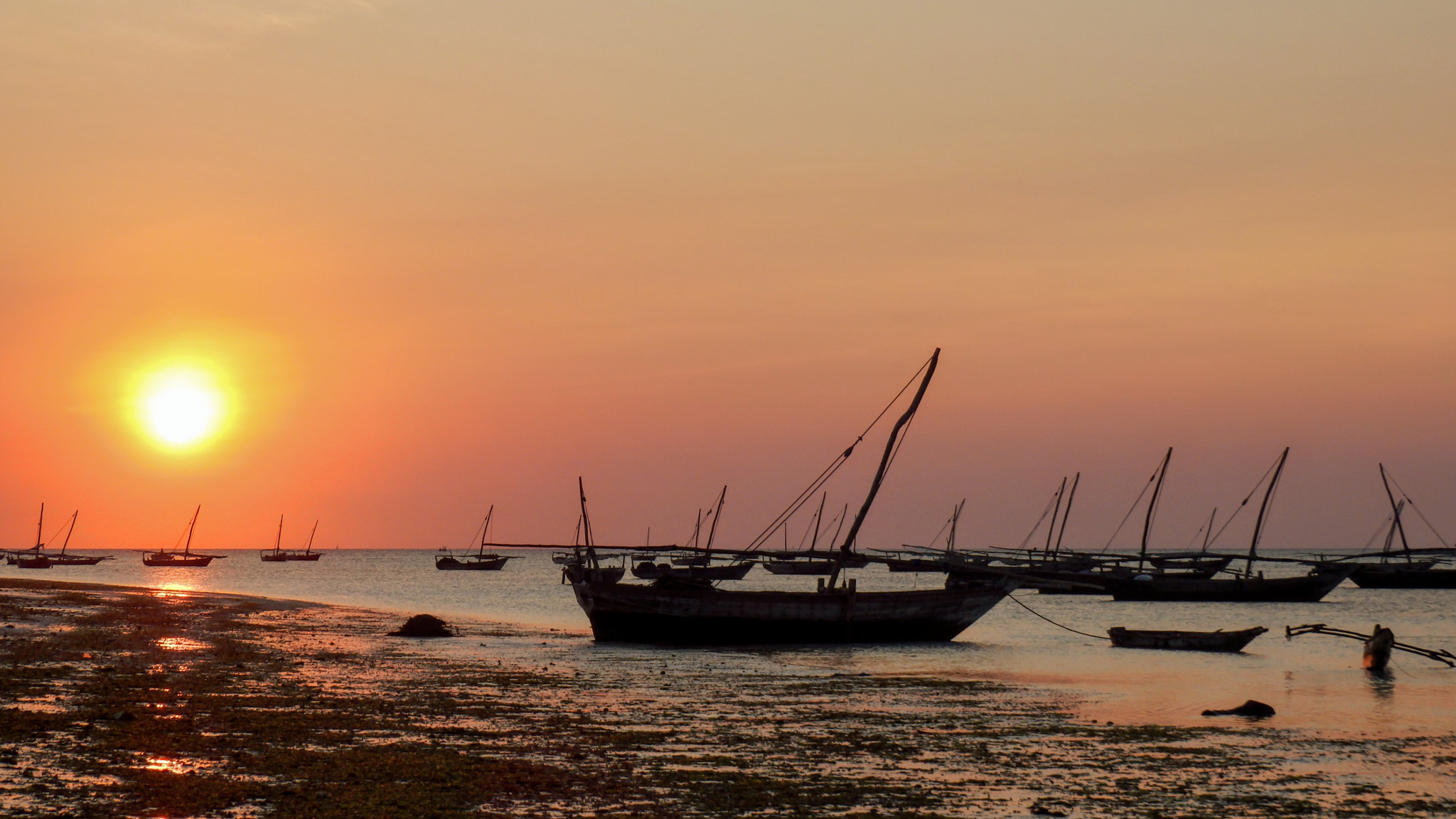 Olympus SZ-31MR sample photo. Zanzibar coastline photography