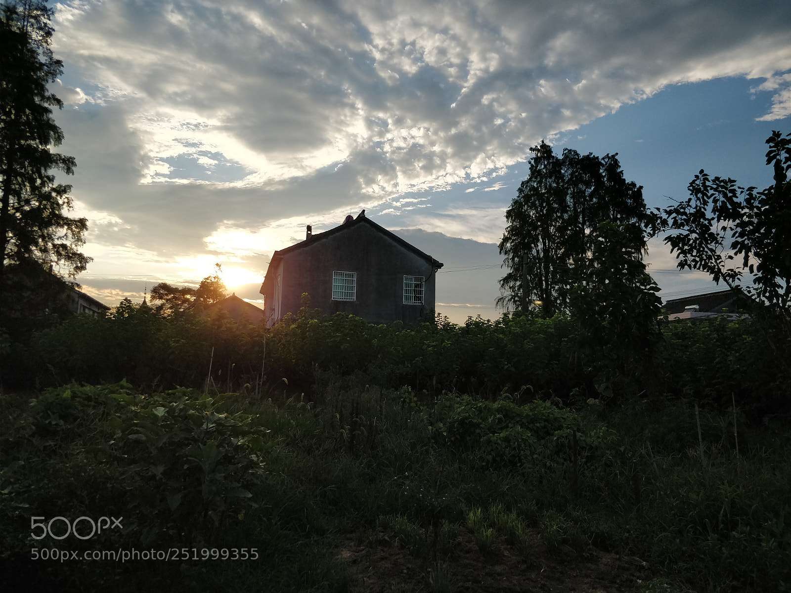 OnePlus 5 sample photo. Untitled photography