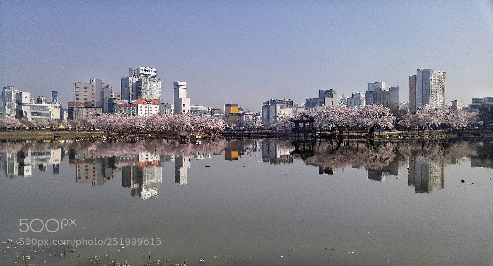 LG G4 sample photo. 운천호 벗꽃풍경 photography