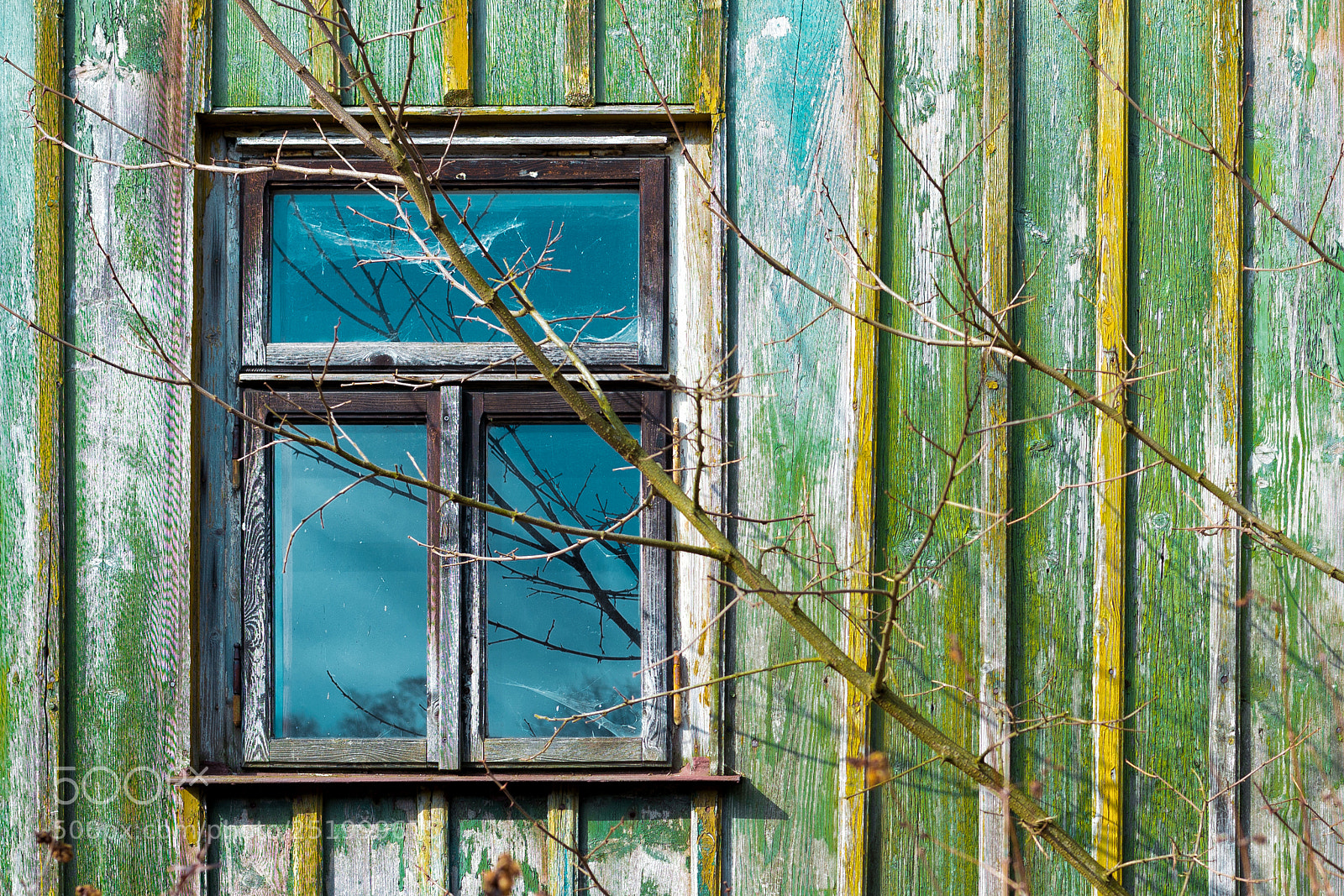Nikon D610 sample photo. Rear window photography
