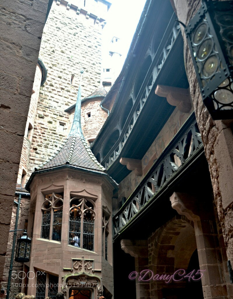 Nikon D5100 sample photo. Alsace (30) photography