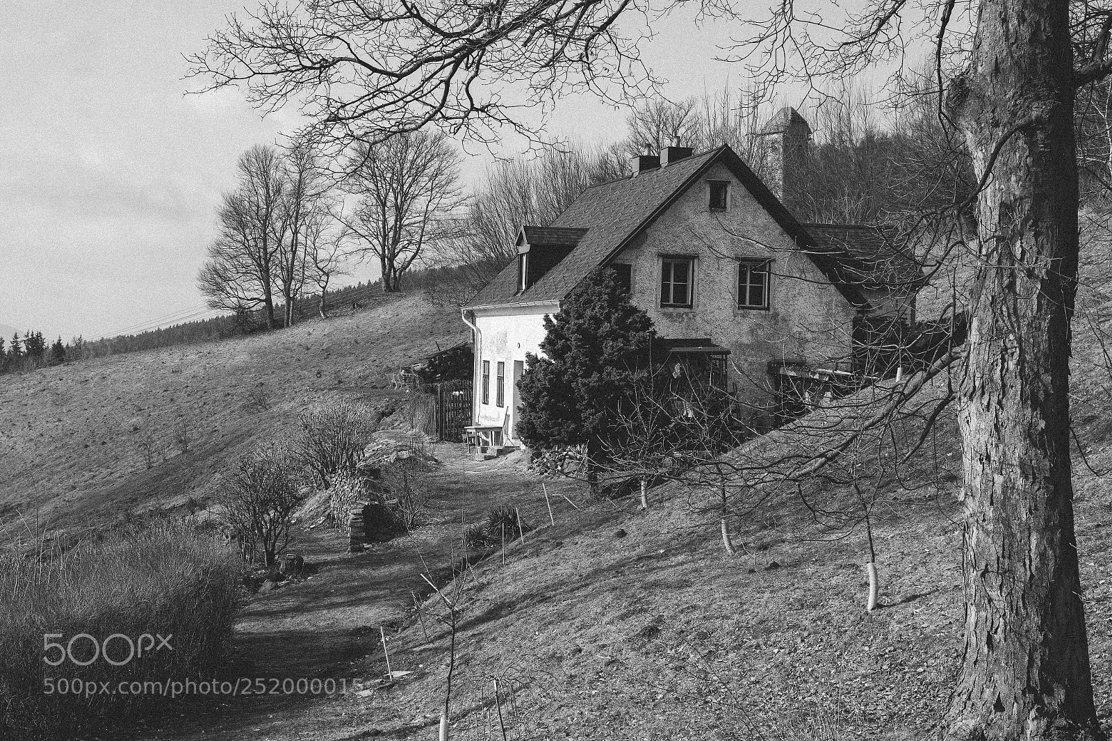 Nikon D610 sample photo. Countryside photography