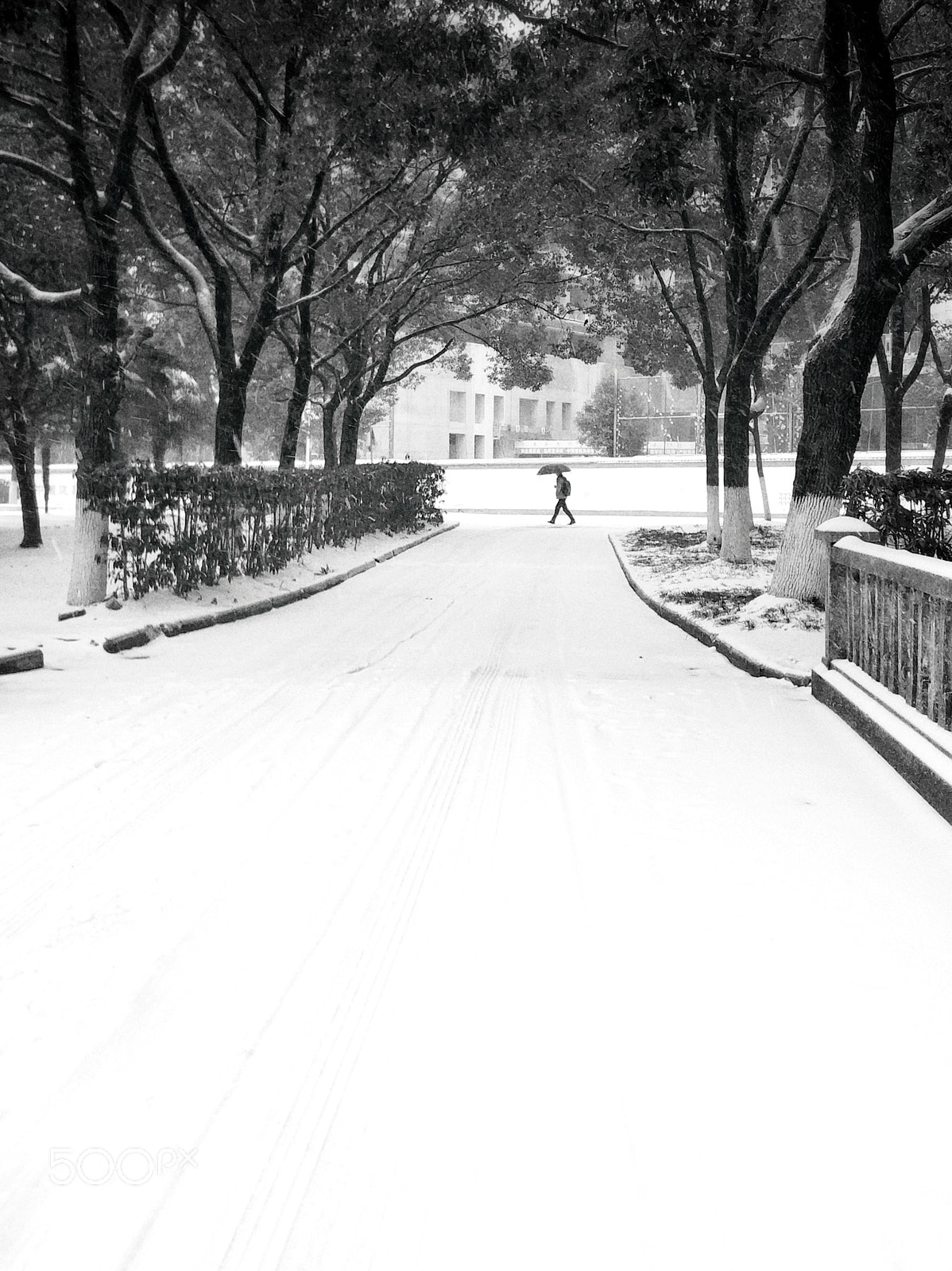 Xiaomi MI6 sample photo. Snow photography