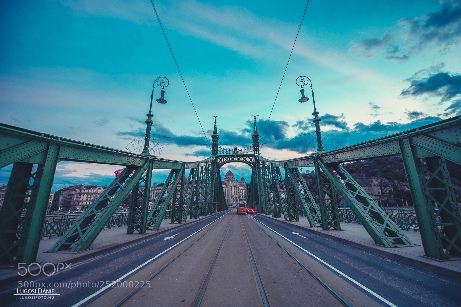Nikon D610 sample photo. Liberty bridge photography