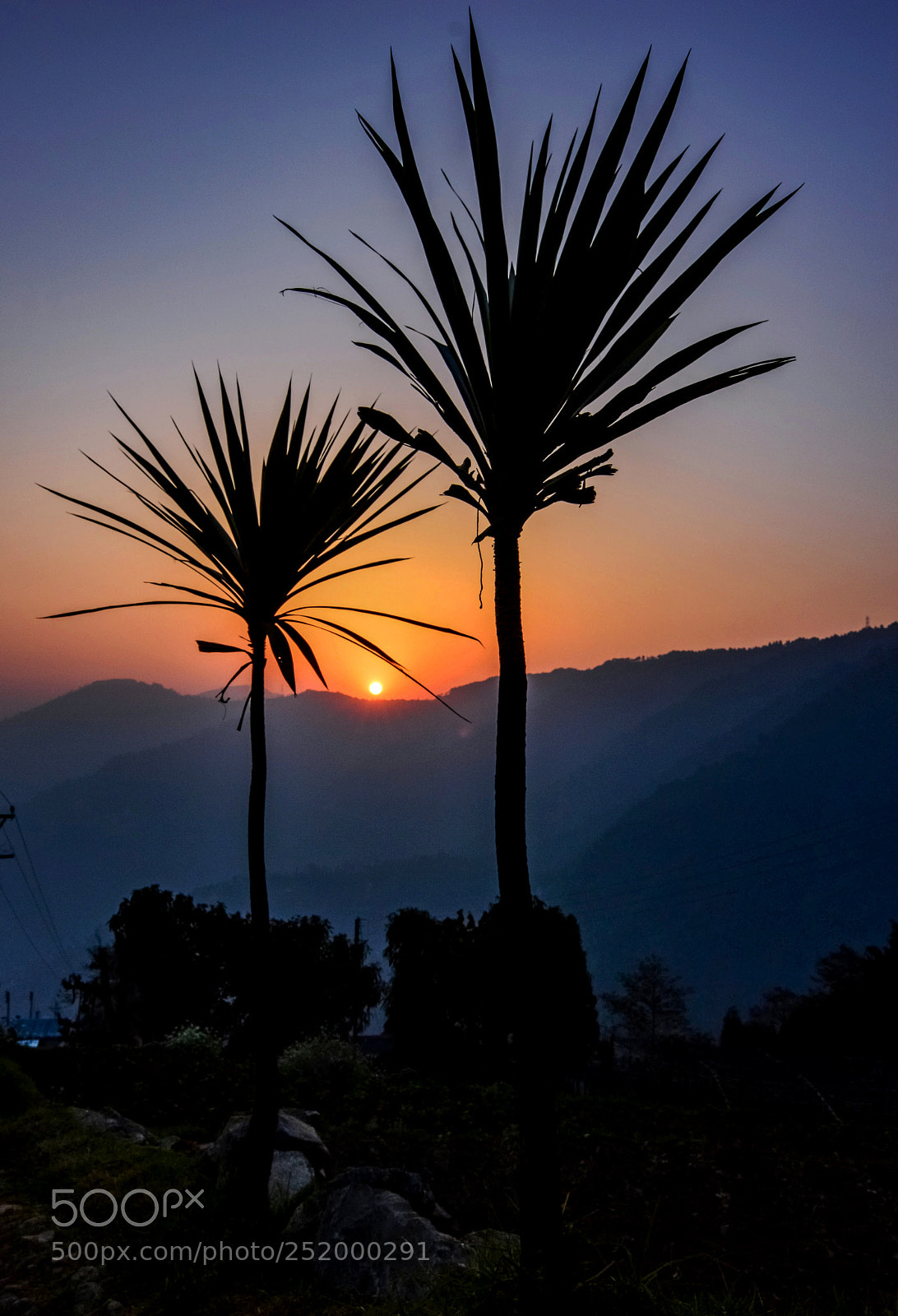 Nikon D3200 sample photo. Jaubhari photography