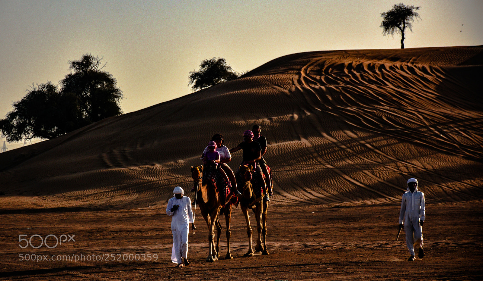 Nikon D7200 sample photo. Desert... photography